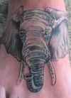 elephant head feet tattoo